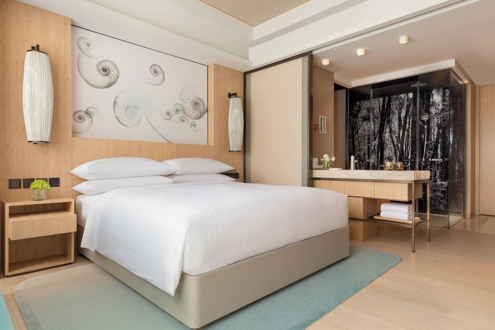 Room, 1 King Bed