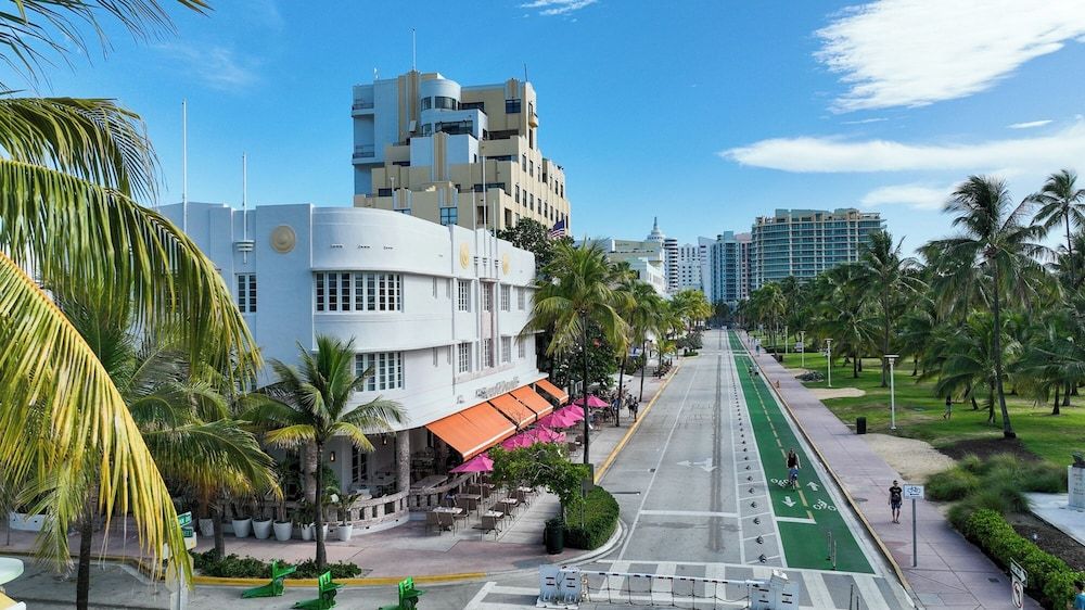 undefined Cardozo Hotel South Beach 2