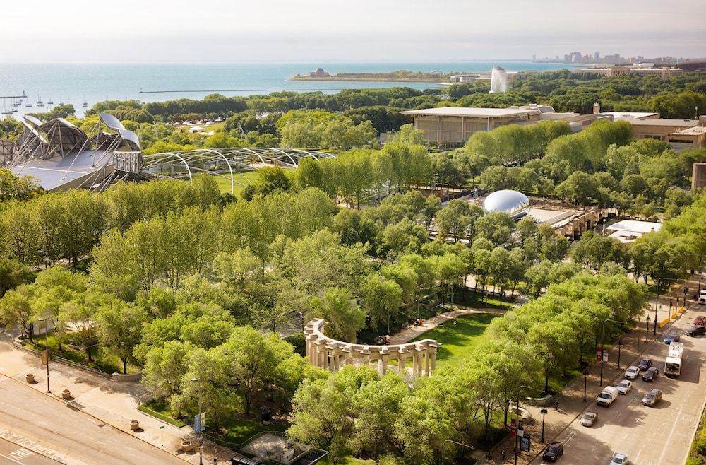 undefined Arlo Chicago 8