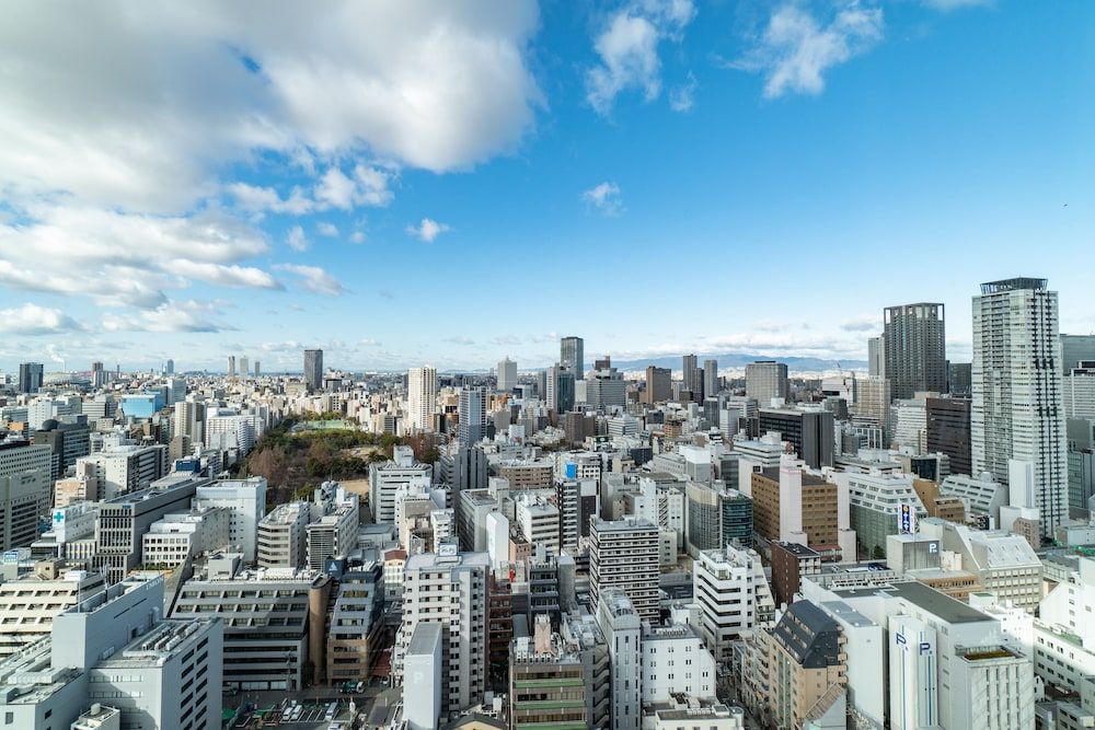 The Royal Park Hotel Iconic Osaka Midosuji Comfort Double Room (21.2 sqm) 4