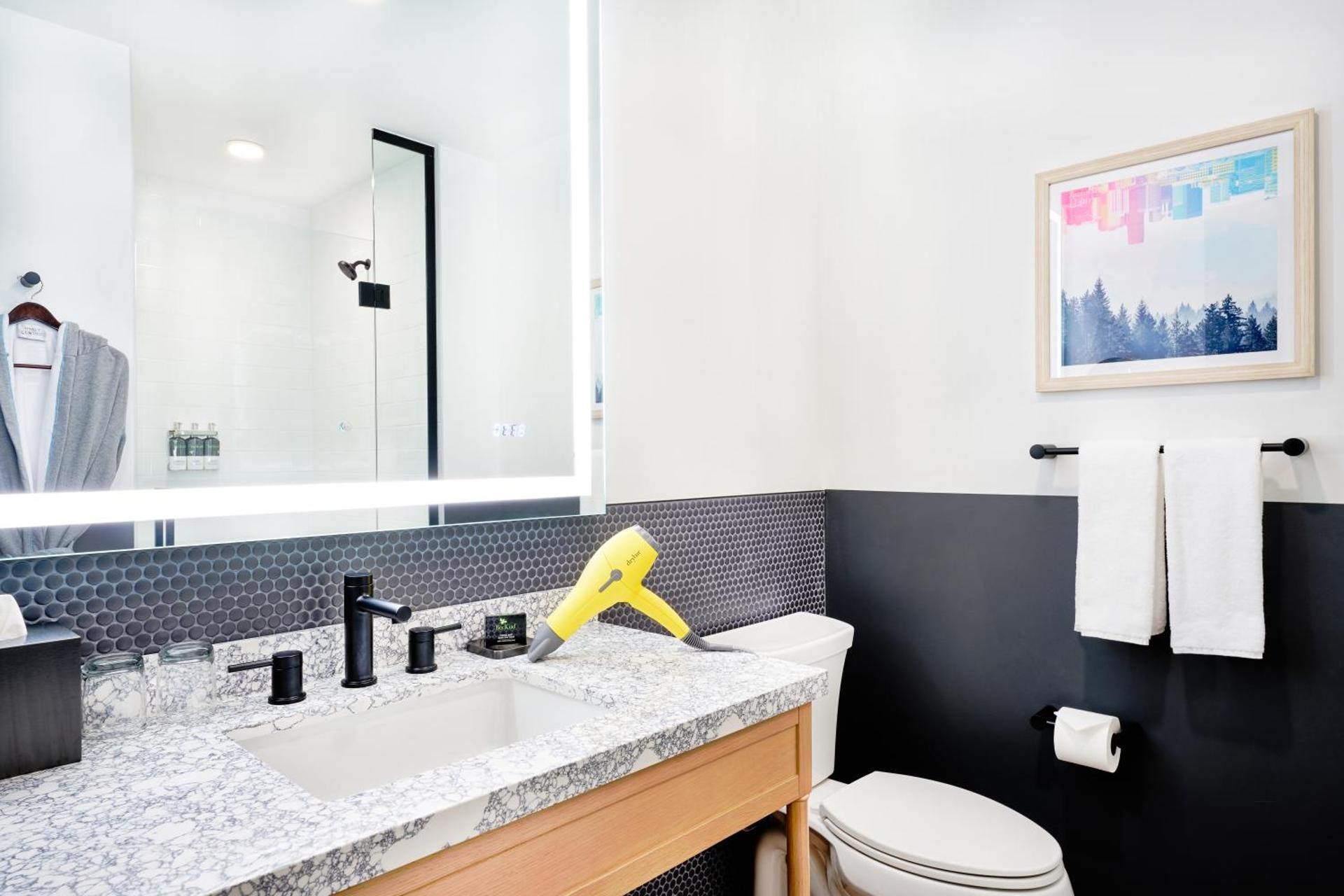 Accessible 1 King Bed With Rollin Shower