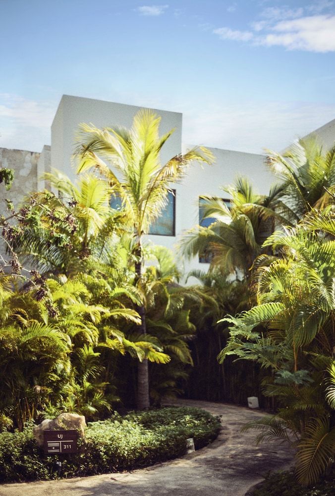 undefined Chablé Maroma 5