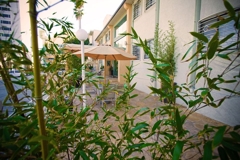 undefined Hollywood Celebrity Hotel 2