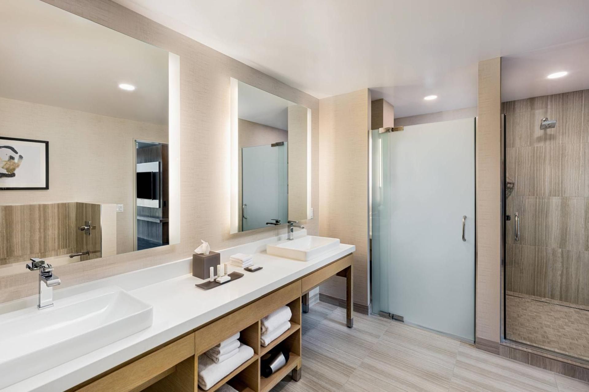 One-Bedroom Queen Suite with Sofa Bed - Hearing Accessible