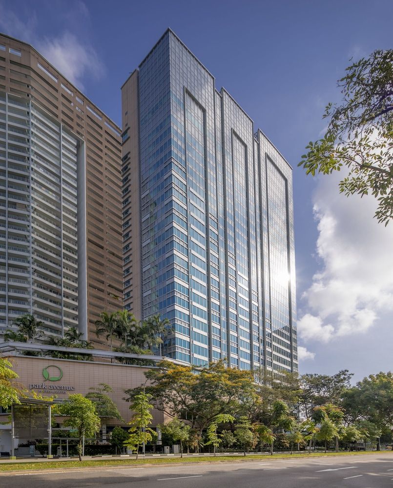 undefined Park Avenue Rochester 7