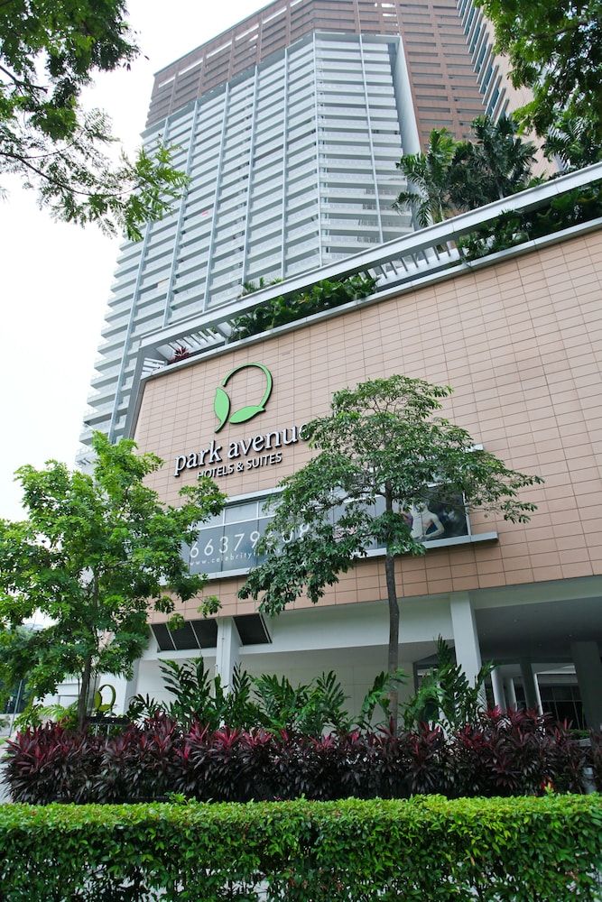 undefined Park Avenue Rochester 6