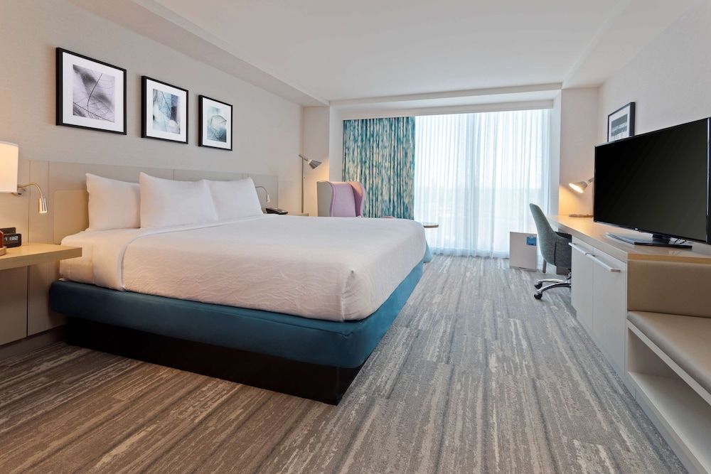 Room, 1 King Bed