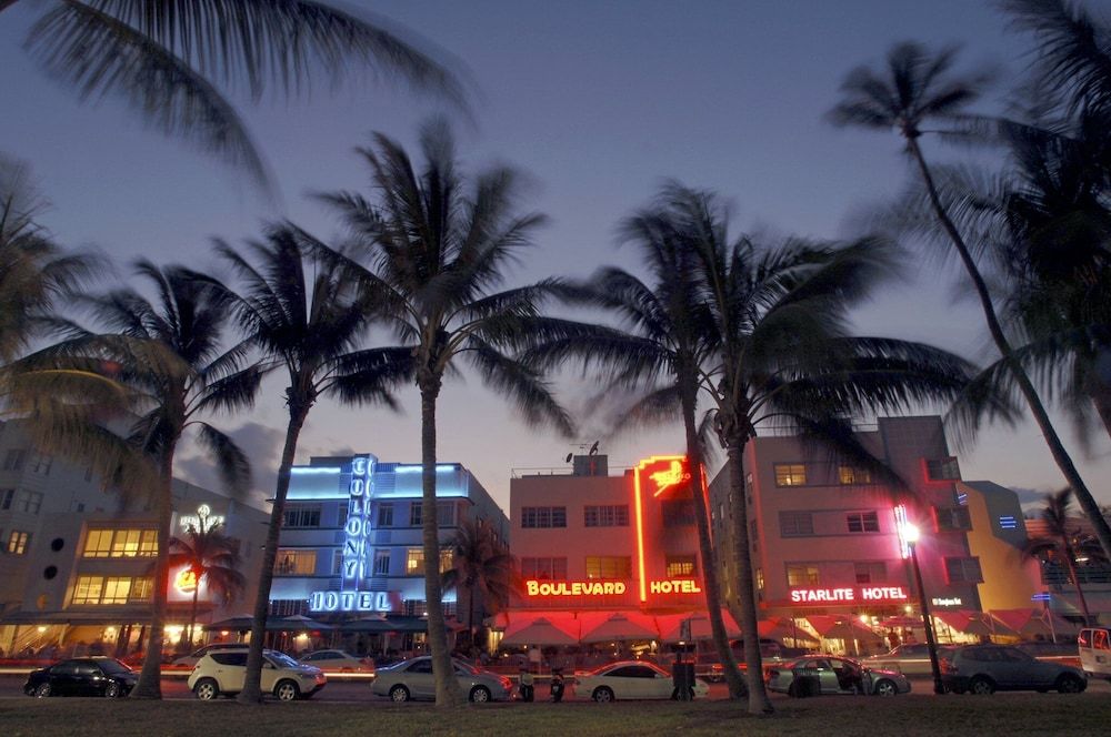 undefined Kimpton Hotel Palomar South Beach by IHG 4