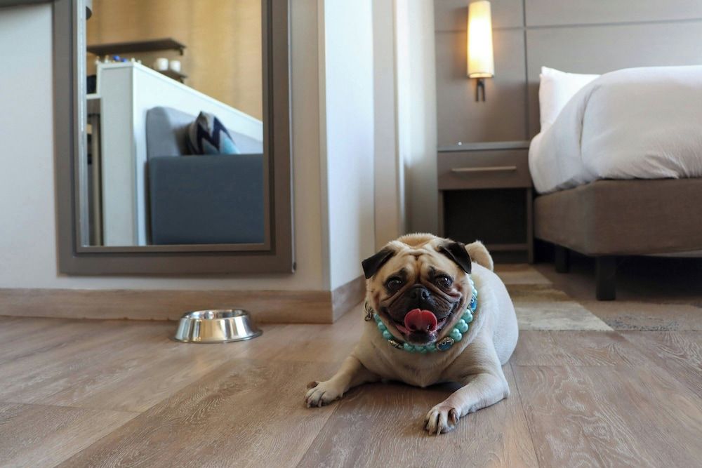 Residence Inn by Marriott Cancun Hotel Zone Studio, 1 King Bed, Balcony 9