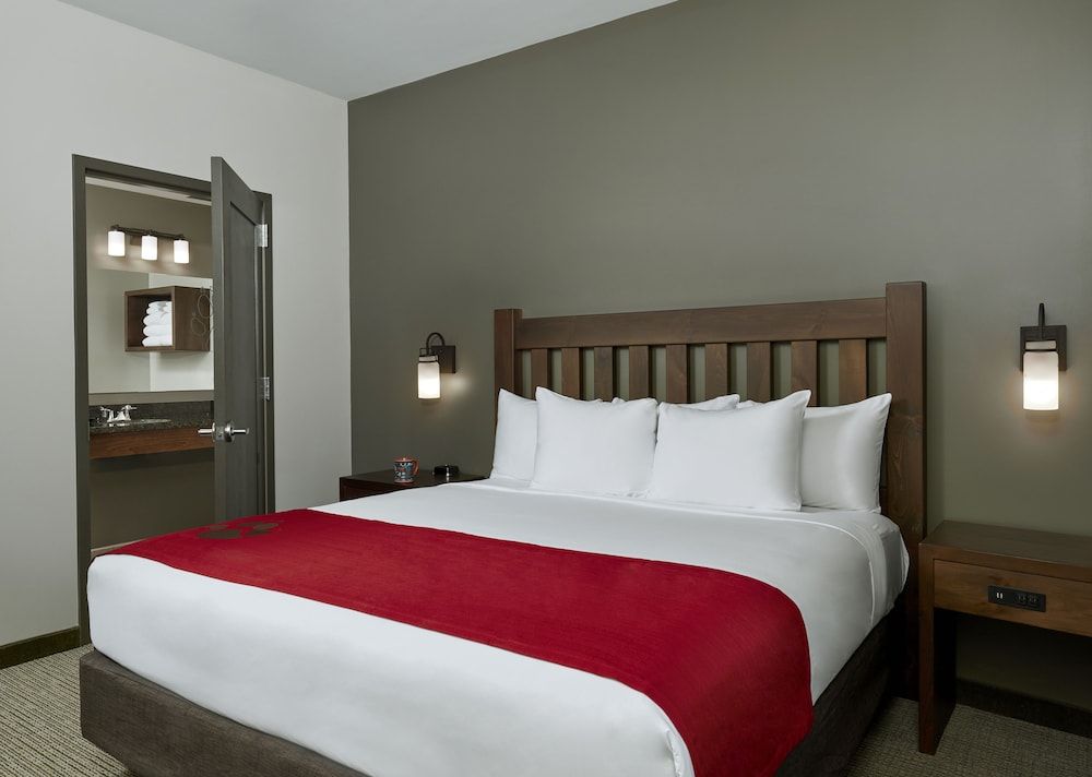 Suite (Grizzly Bear  - Water Park Included)