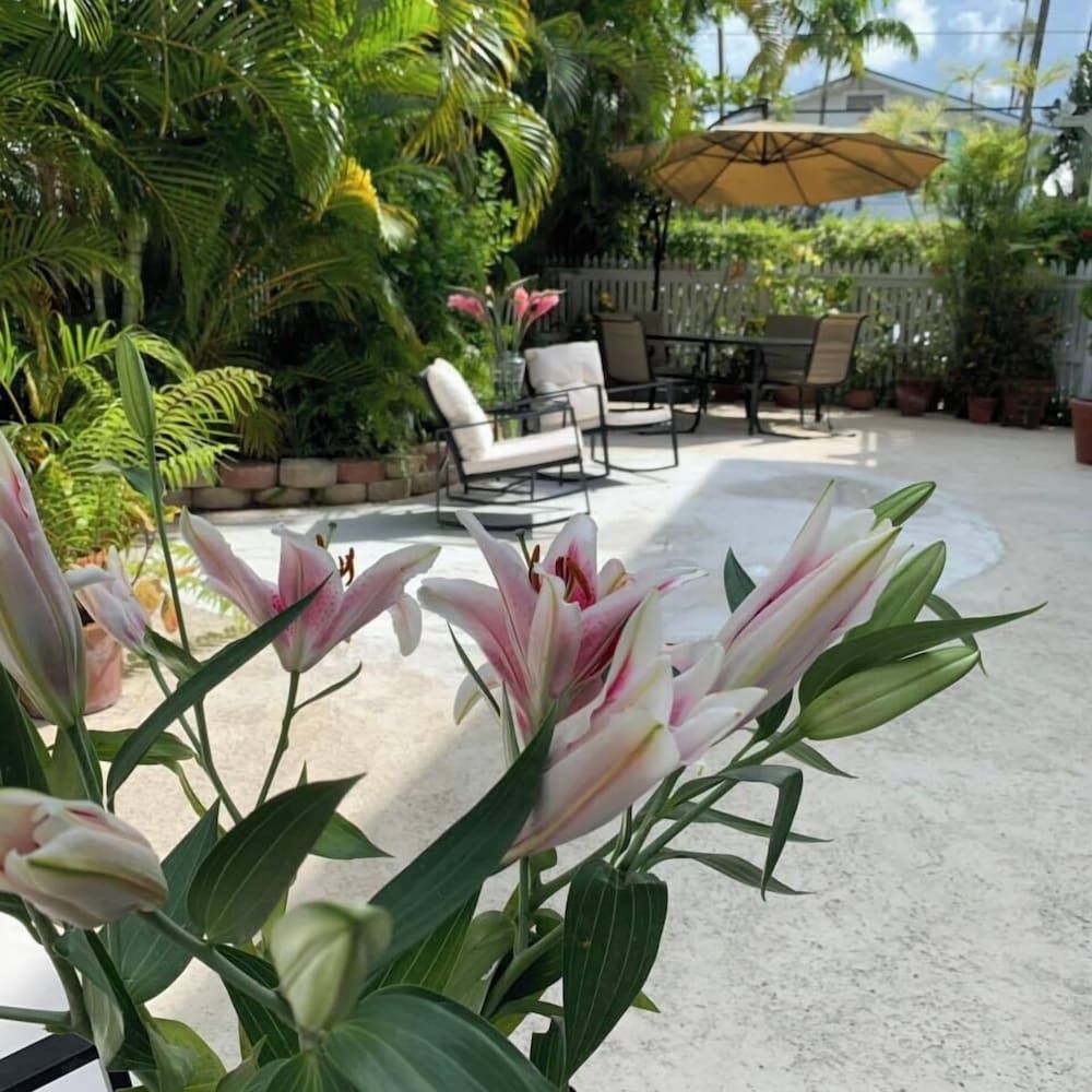 undefined Heron House Court - Adult Only 9