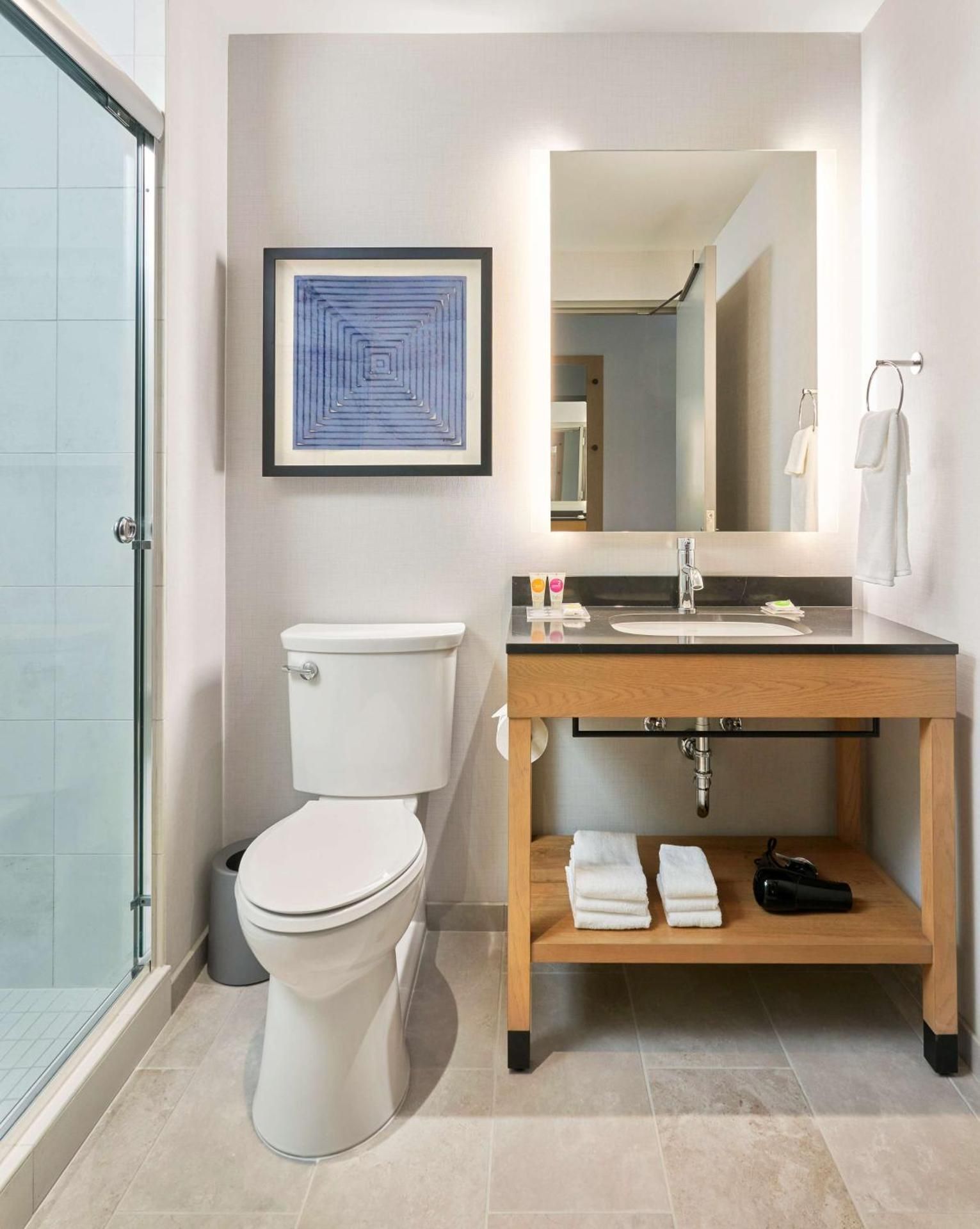 undefined Hyatt Place Chicago Medical/University District 3