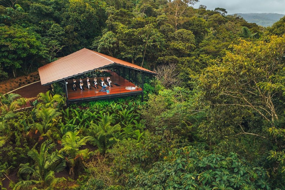 undefined Amor Arenal Adults Friendly 4