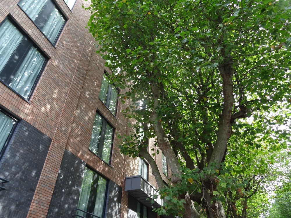undefined Dublin One Hotel 9