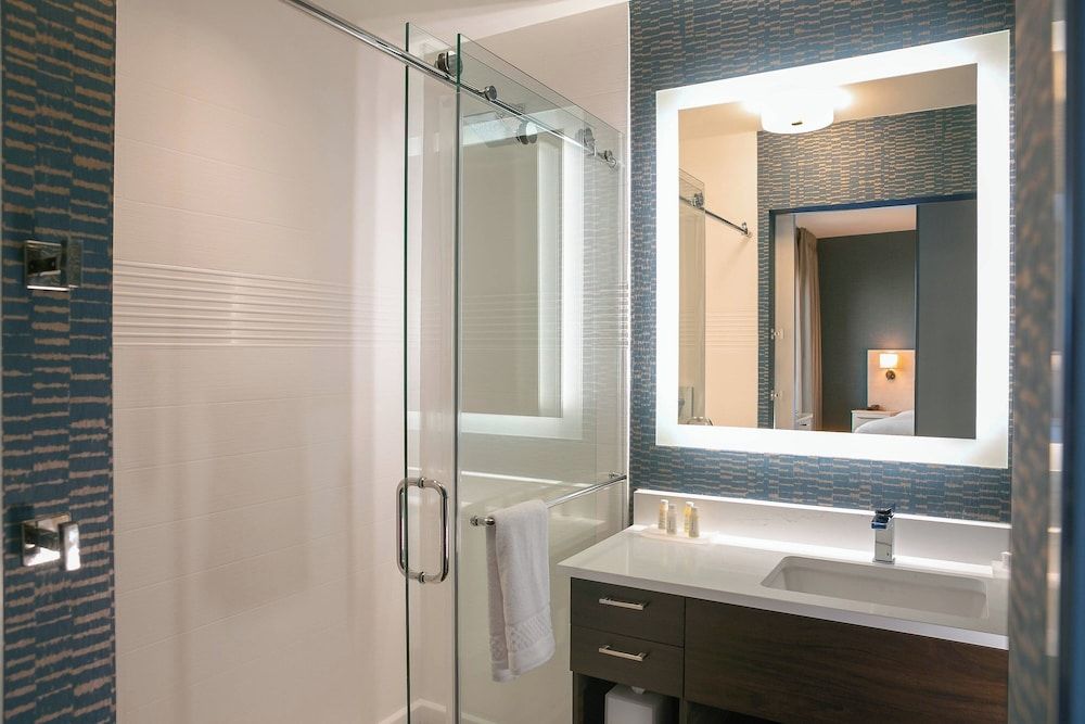 Studio Suite, 1 King Bed with Sofa bed (Hearing Accessible)