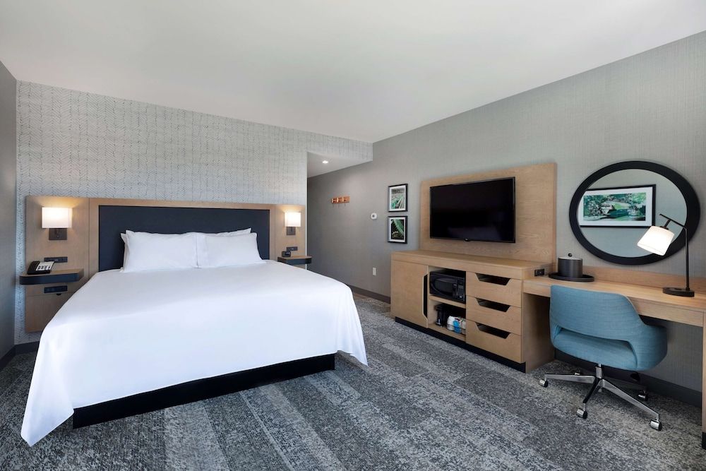 Room, 1 King Bed, Accessible, Bathtub