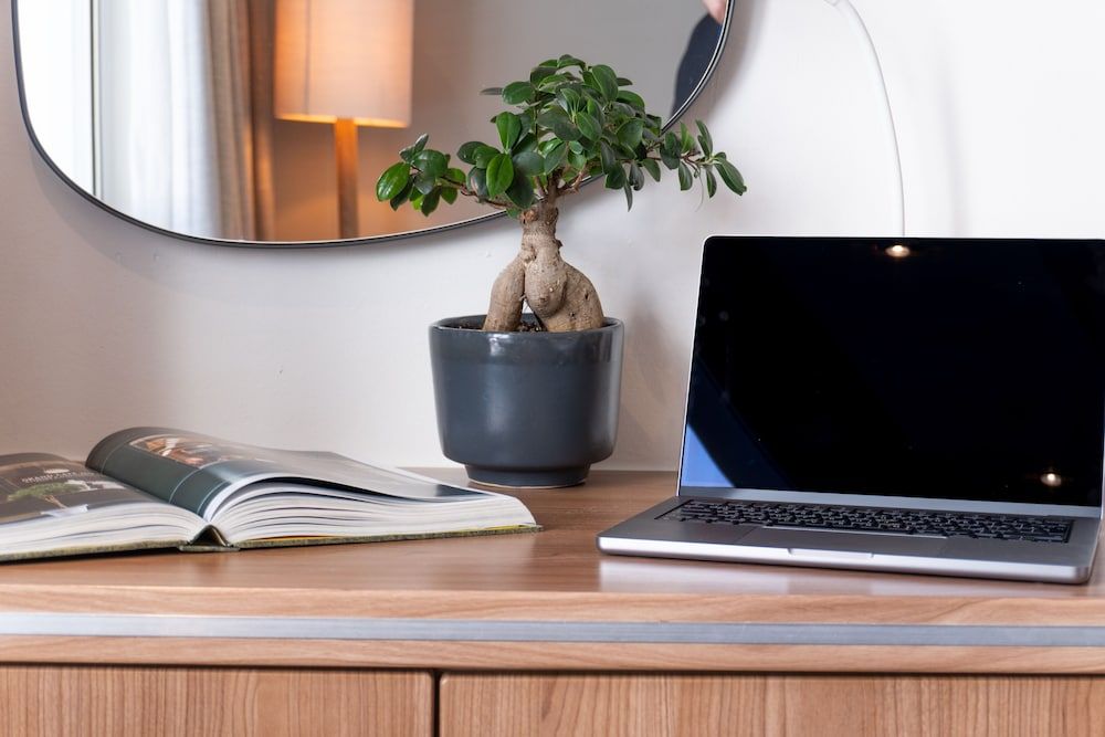 President Hotel Classic Room 5