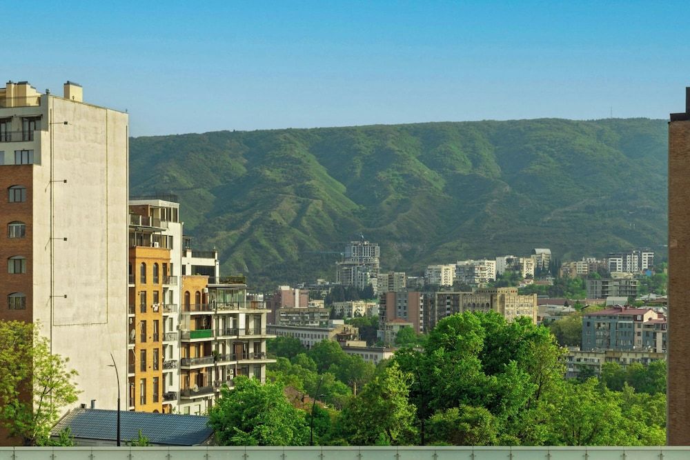 undefined Sheraton Grand Tbilisi Metechi Palace 10