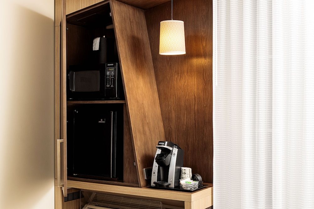 Standard Room, 1 King Bed with Sofa bed (Mobility Accessible, Roll-in Shower)