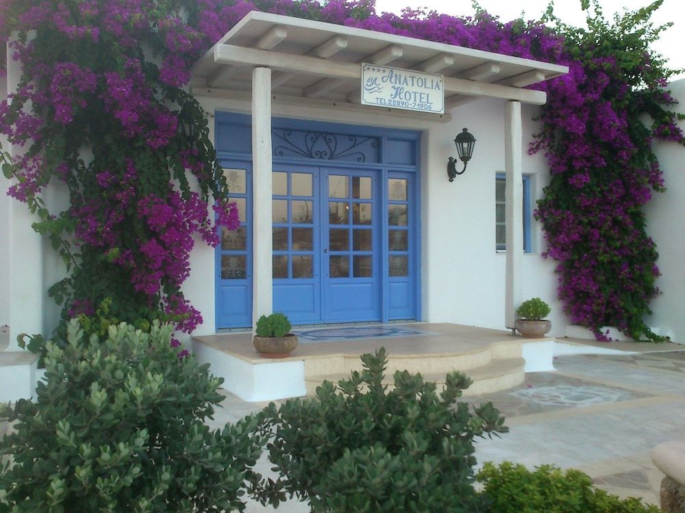 undefined Anatolia Hotel 3
