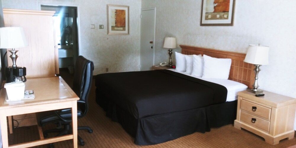 Executive Suite, 1 King Bed, Non Smoking
