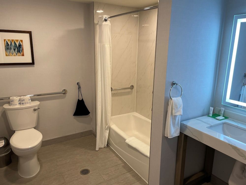 Room, 1 King Bed, Accessible, Bathtub