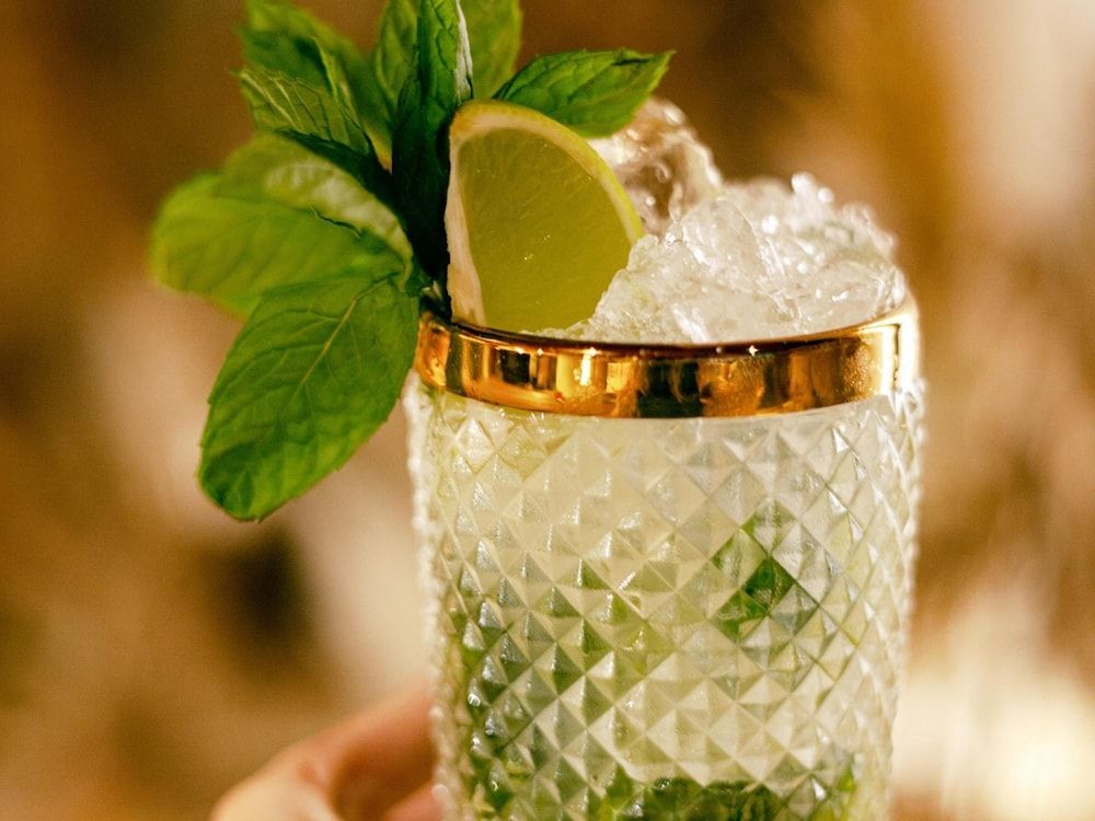 undefined Wren Urban Nest 5