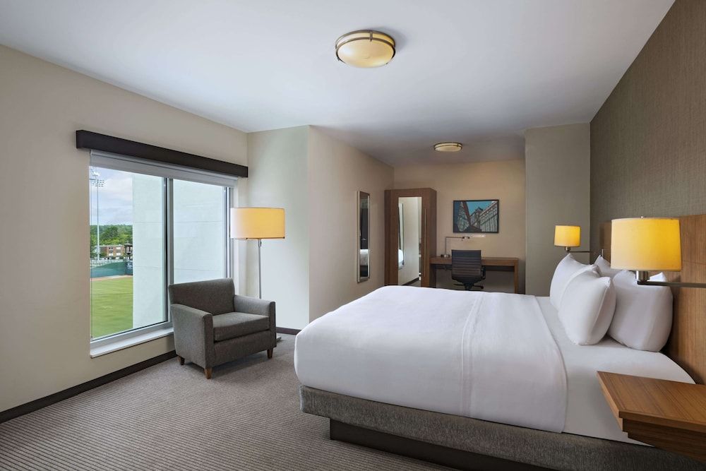 Suite, 1 King Bed with Sofa bed