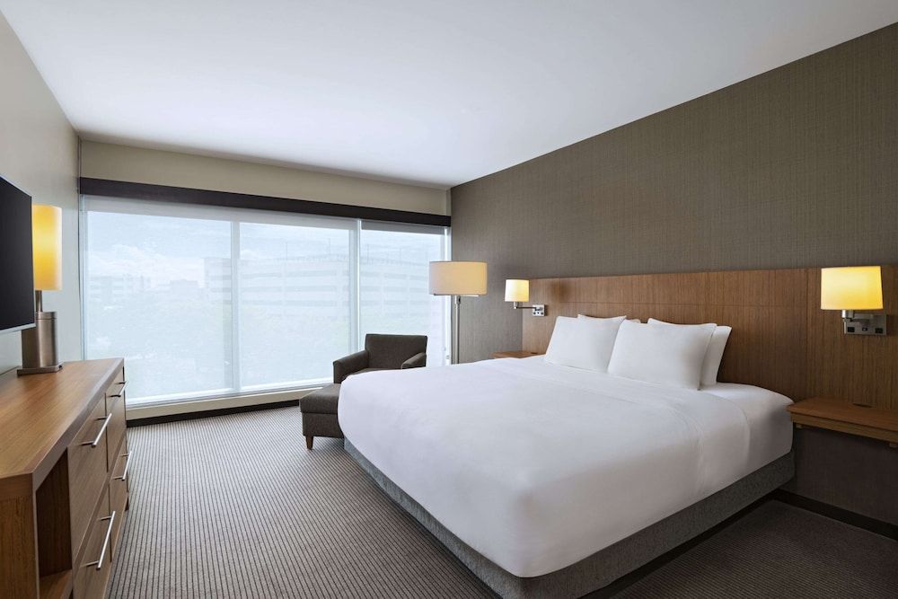 Room, 1 King Bed with Sofa bed (Speciality)