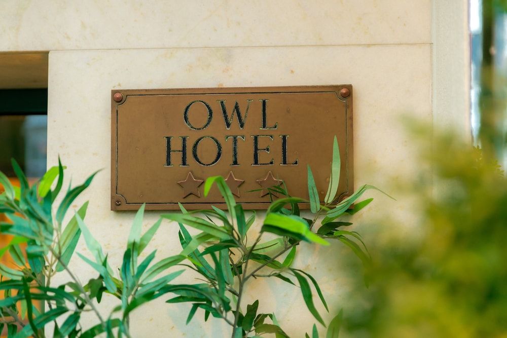 undefined Owl Hotel 6