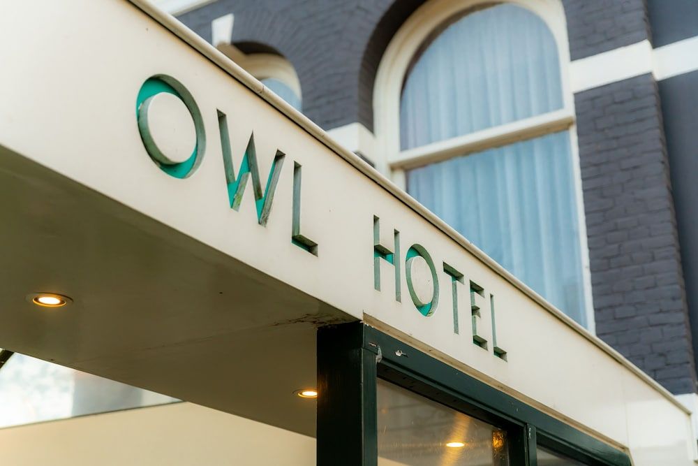 undefined Owl Hotel 8