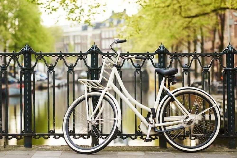 undefined Owl Hotel 9