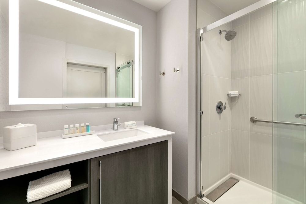 Embassy Suites by Hilton Atlanta Midtown Studio Suite, 1 King Bed 5