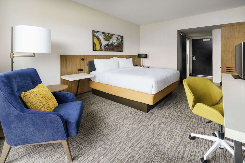 Room, 1 King Bed, Mountain View