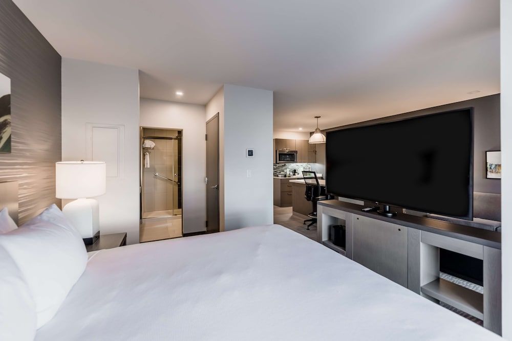 Studio, 1 King Bed with Sofa bed, Kitchen