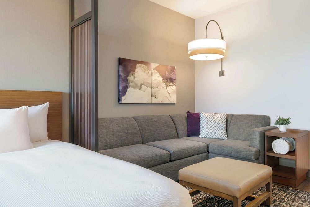Room, 1 King Bed with Sofa bed, Accessible, Bathtub