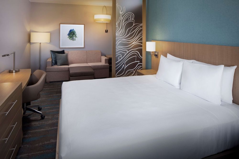 Room, 1 King Bed (with Shower)