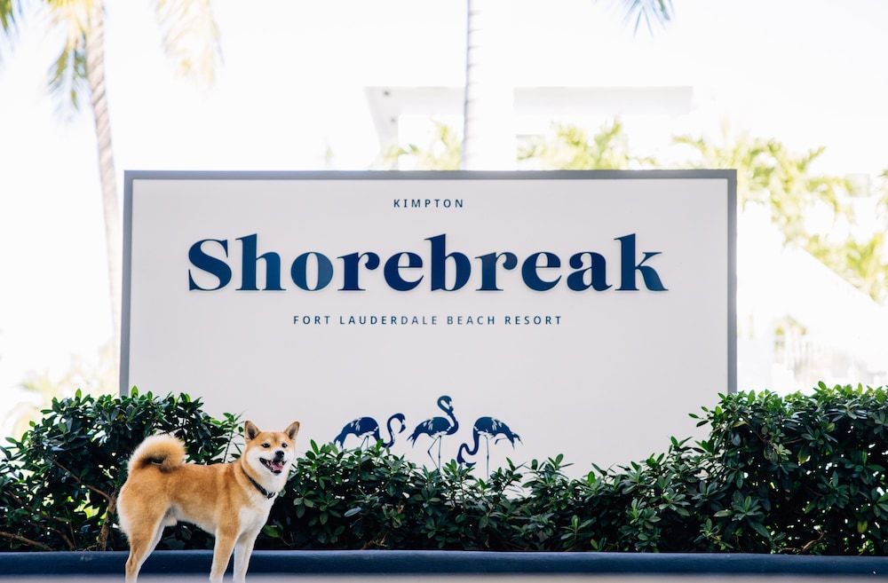 undefined Kimpton Shorebreak Fort Lauderdale Beach Resort by IHG 2