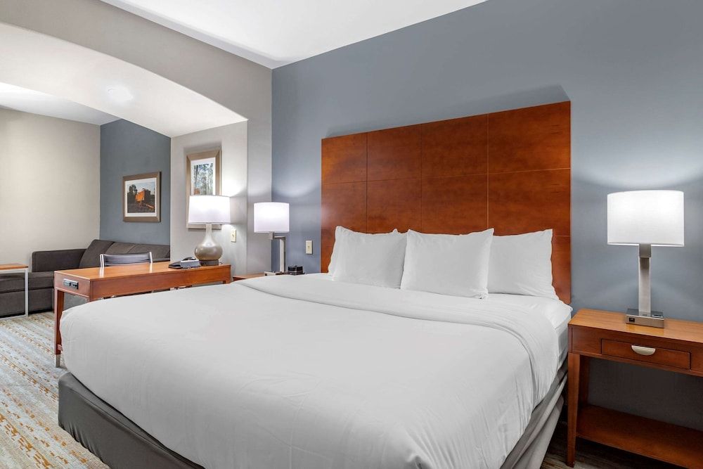 Suite, 1 King Bed with Sofa bed, Non Smoking