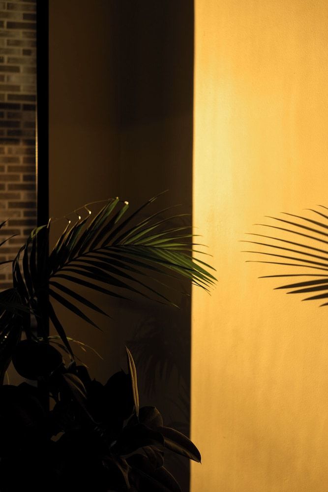 undefined THE FLAG Meiller Gärten 7