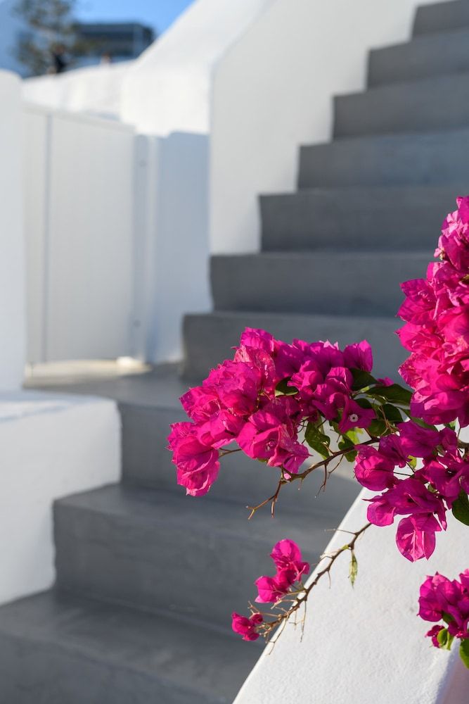 undefined Echoes Luxury Suites 8