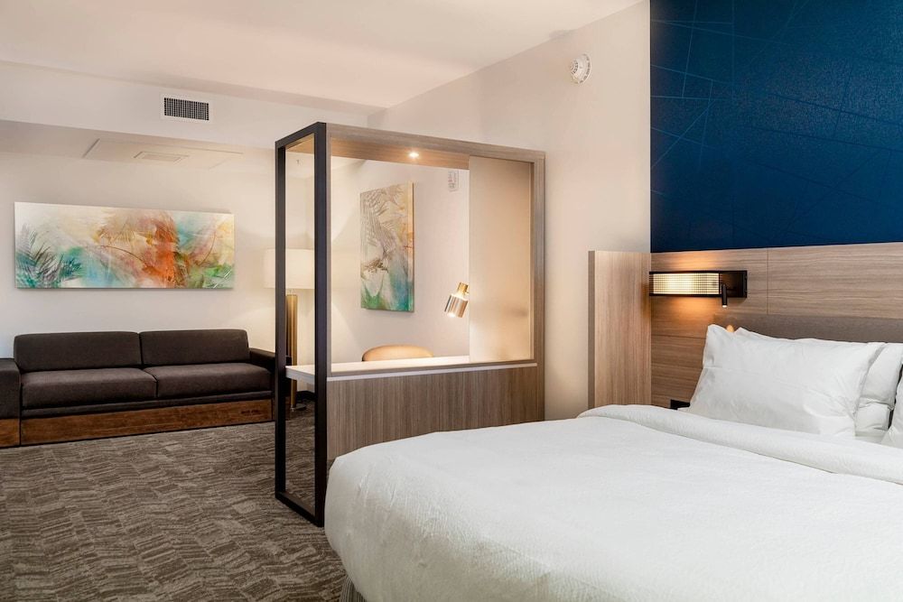 Suite, 1 King Bed with Sofa bed