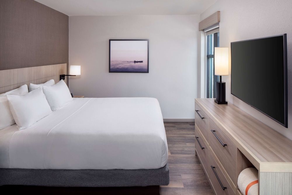 Room, 1 King Bed with Sofa bed, Accessible (ADA with Shower)
