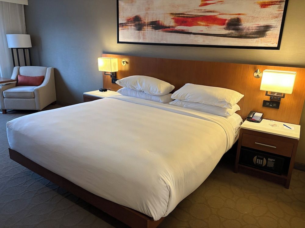 Room, 1 King Bed