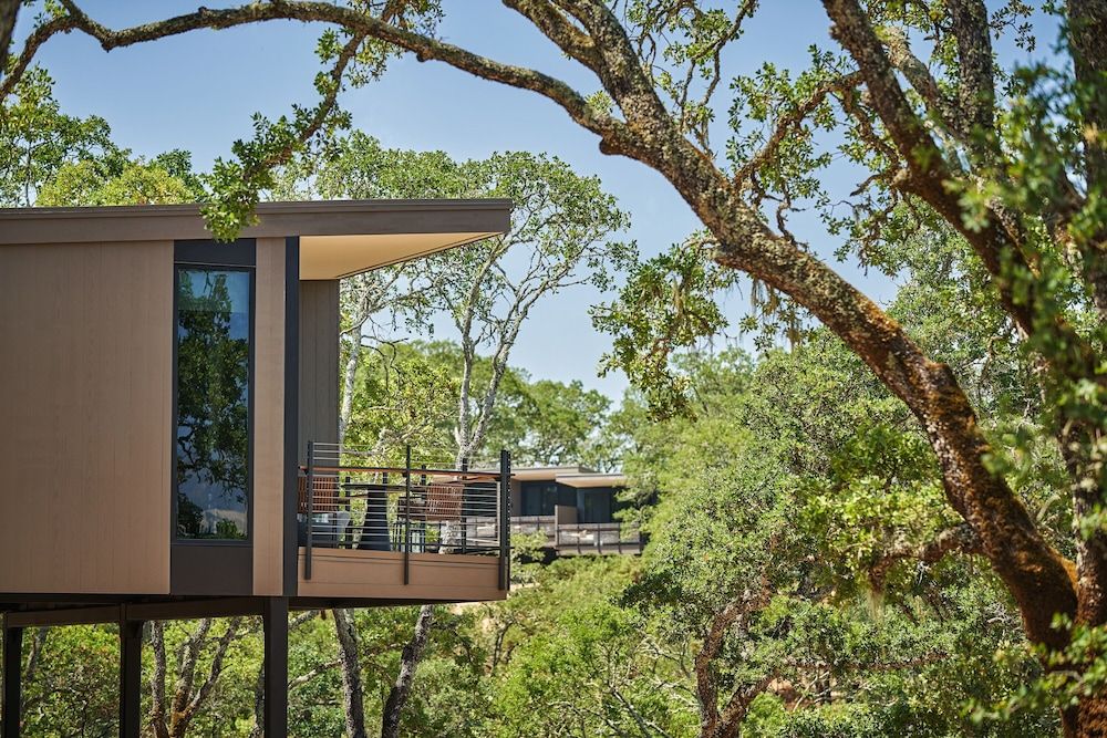 Y - Forest Accessible Studio Suite