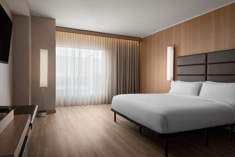 Room, 1 King Bed with Sofa bed (Hearing Accessible)