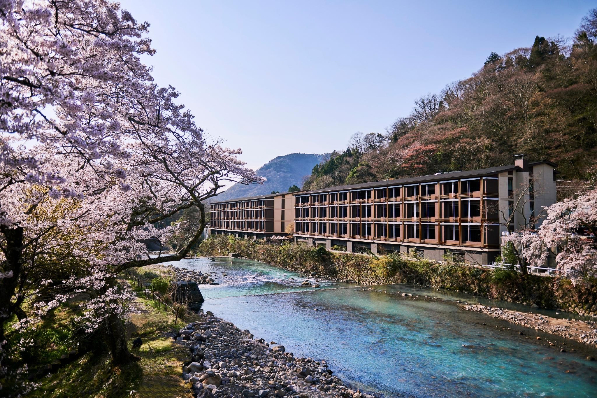 undefined Hotel Indigo Hakone Gora by IHG 7