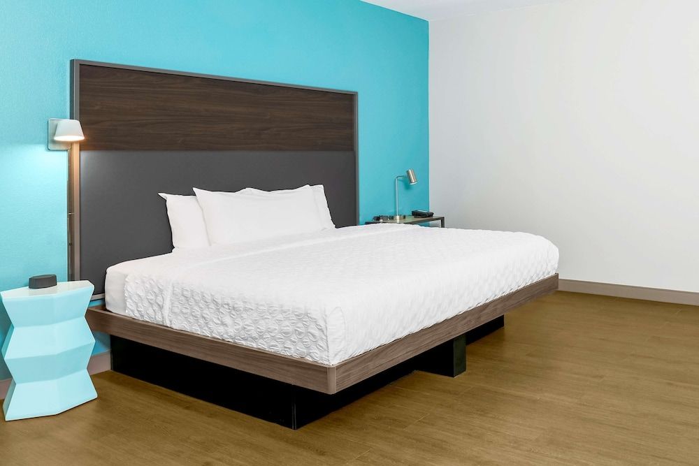Room, 1 King Bed