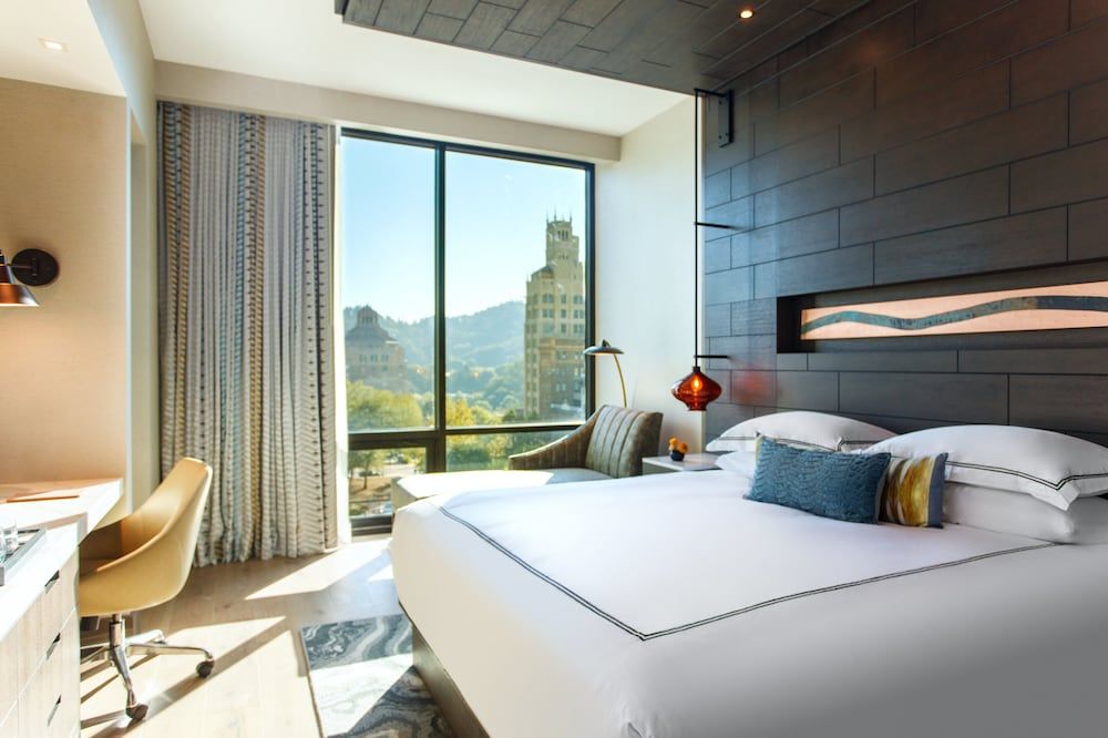 Room, 1 King Bed, Mountain View