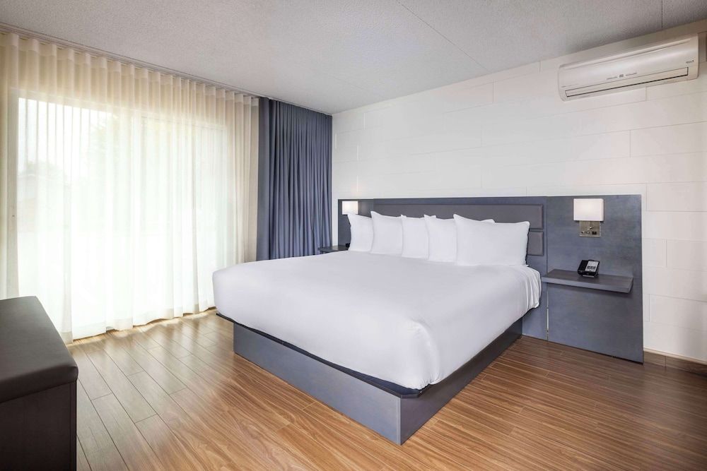 Superior Suite (king)
